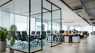 Commercial Pest Control