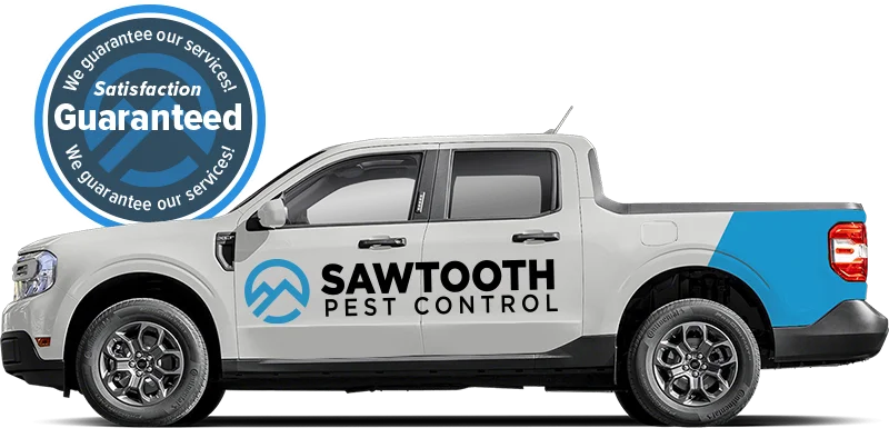 Sawtooth Pest Control Truck